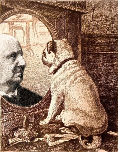 Hond van Bruckner - Liesbeth.jpg