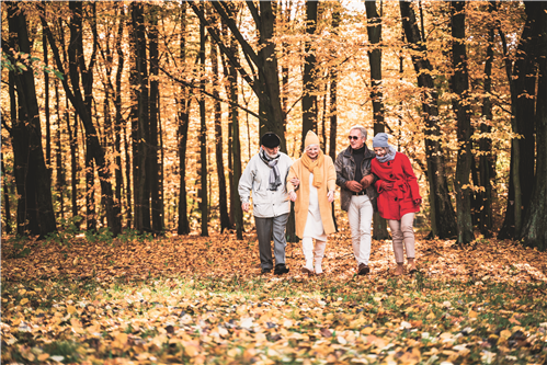 Dompel jezelf onder in de prachtige herfsttinten van het bos tijdens onze ontspannende wandeling van 6 kilometer door het Hof van Coolhem. Het is de perfecte gelegenheid om te genieten van de veranderende bladeren, de frisse herfstlucht.