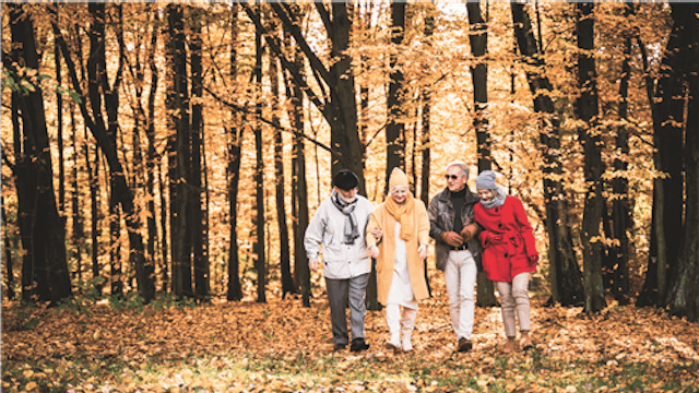 Dompel jezelf onder in de prachtige herfsttinten van het bos tijdens onze ontspannende wandeling van 6 kilometer door het Hof van Coolhem. Het is de perfecte gelegenheid om te genieten van de veranderende bladeren, de frisse herfstlucht.