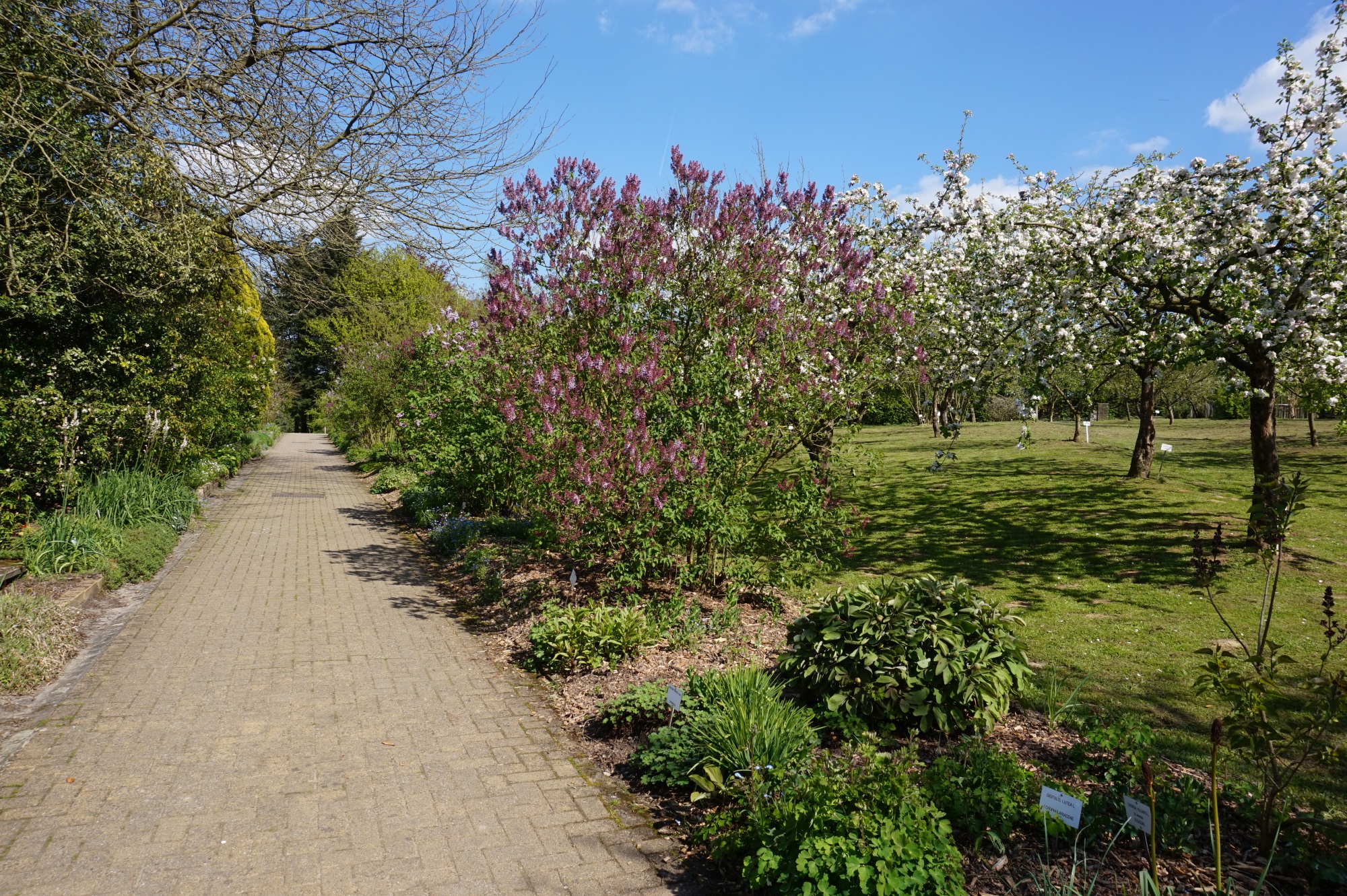 Visite guidée: Découverte des collections botaniques - Jardin Jean Massart