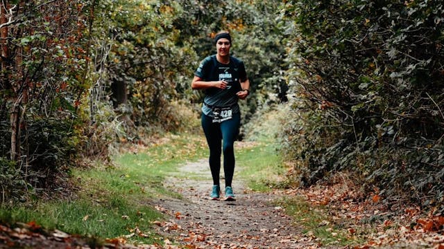 GEMEENTEBESTUUR KNOKKE-HEIST