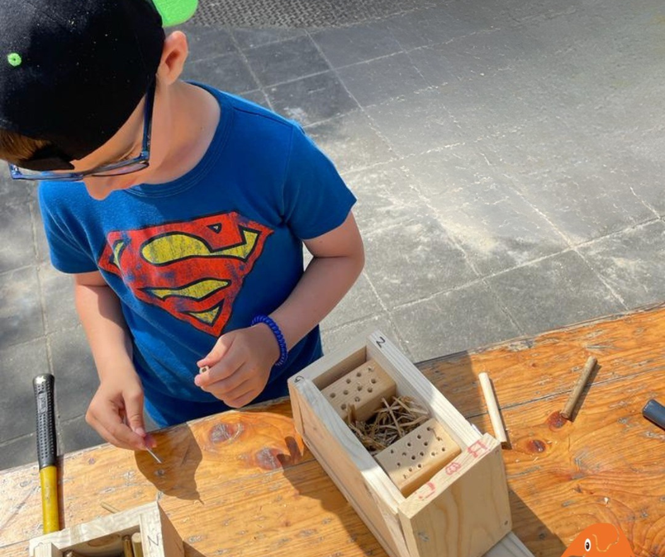 Jongen met insectenhotel