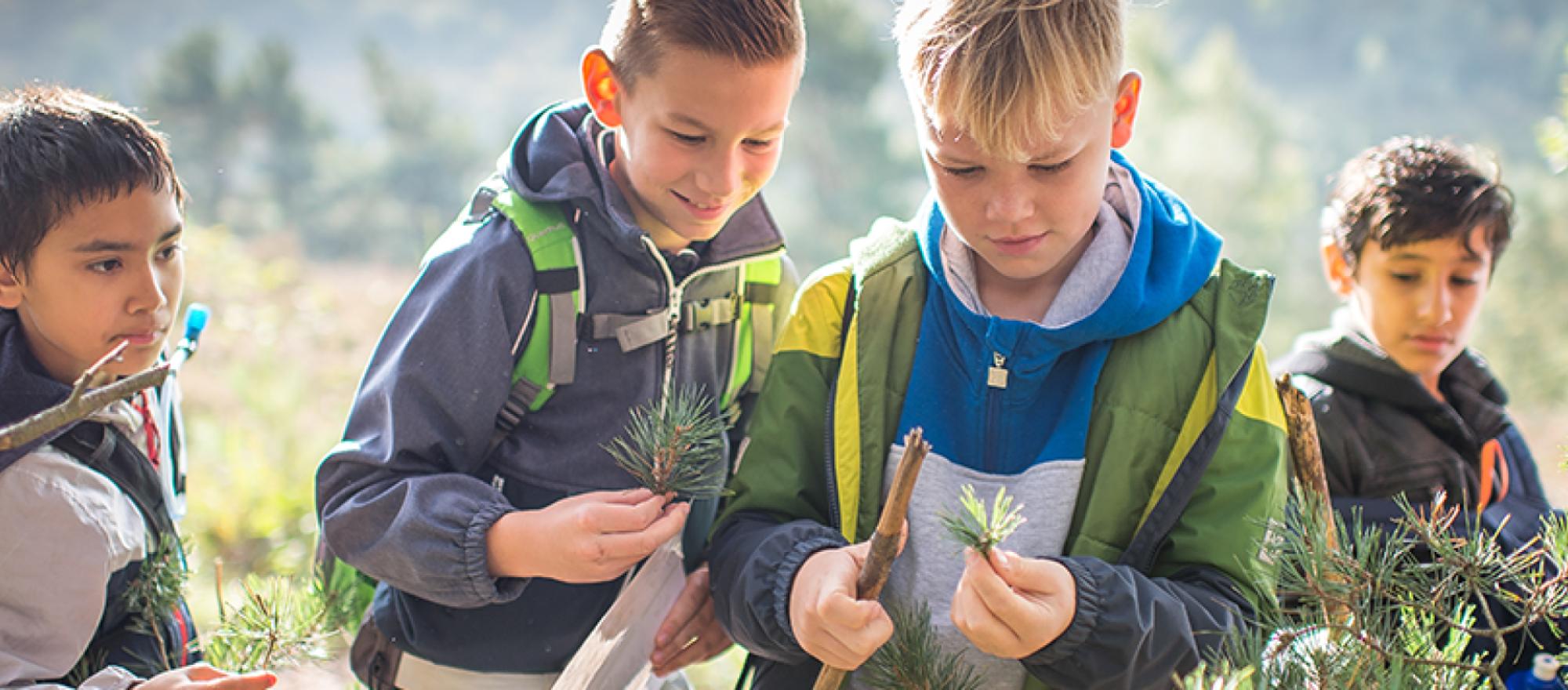 Junior Ranger Bergerven