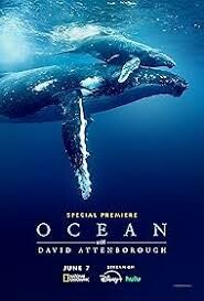 Afbeelding voor evenement Broodje Film: Ocean with David Attenborough
