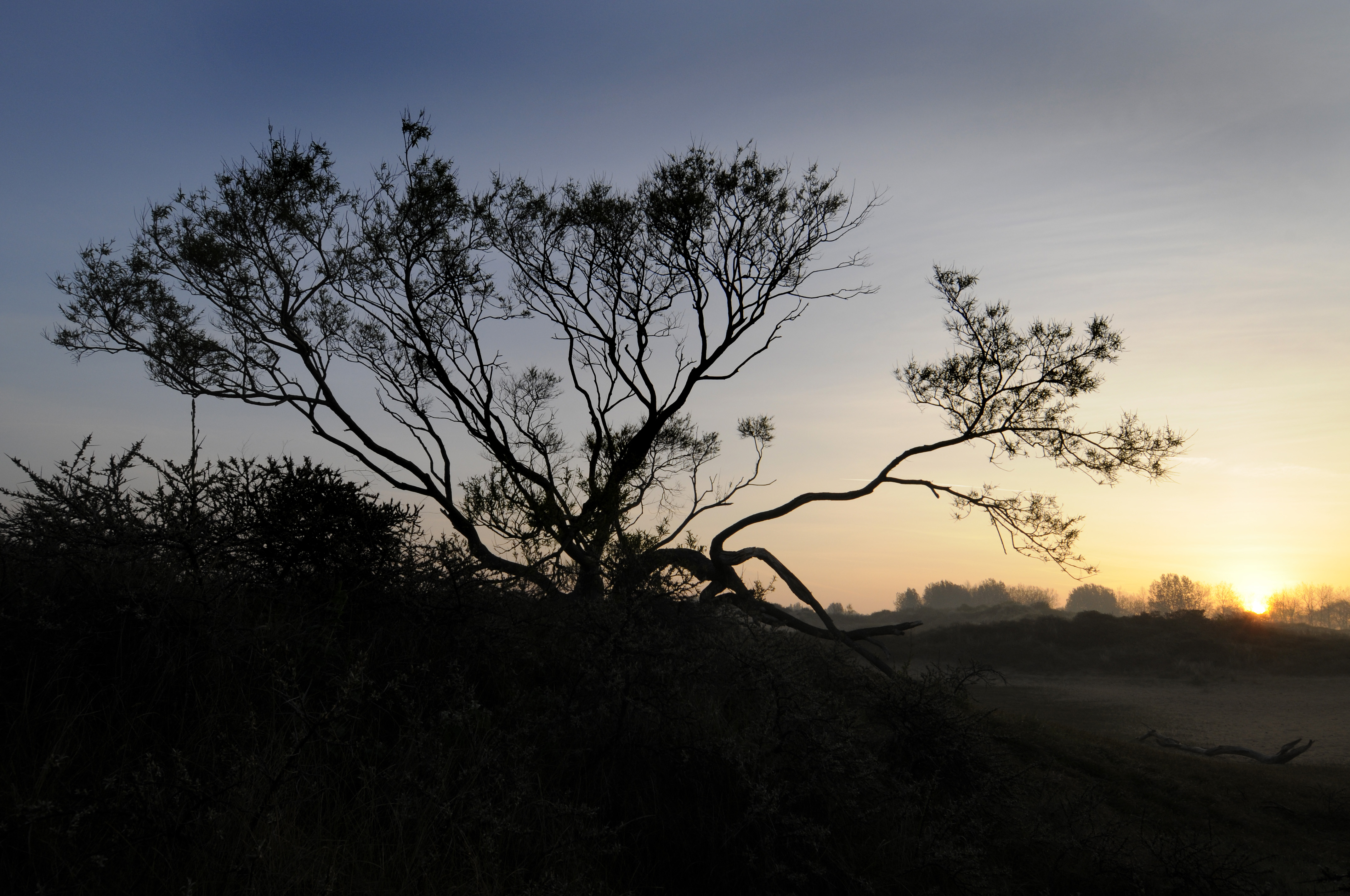 Wandeling in de avondschemering