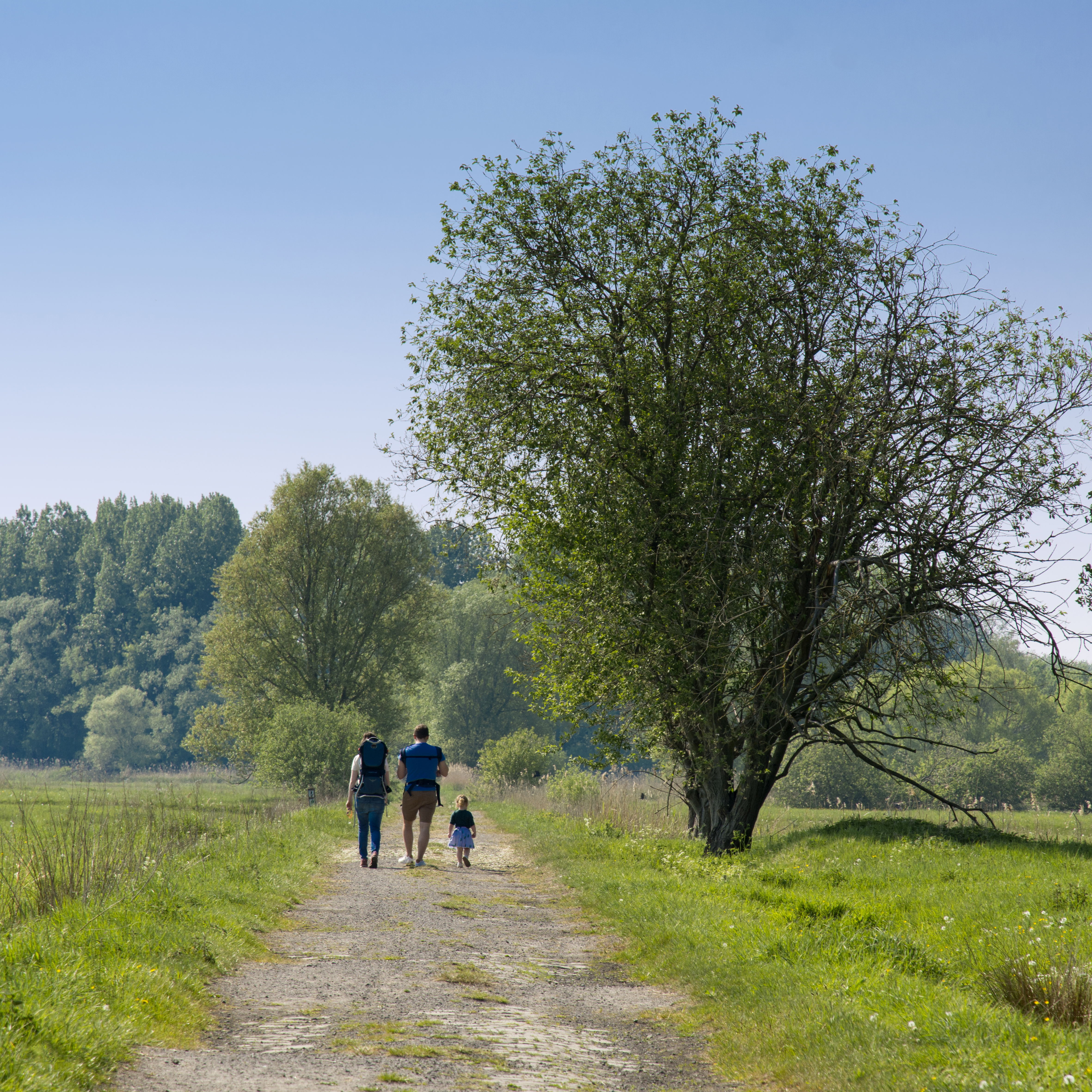 Trage Weg - Roggeman