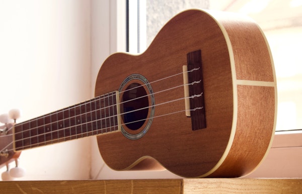 Initiatie ukelele