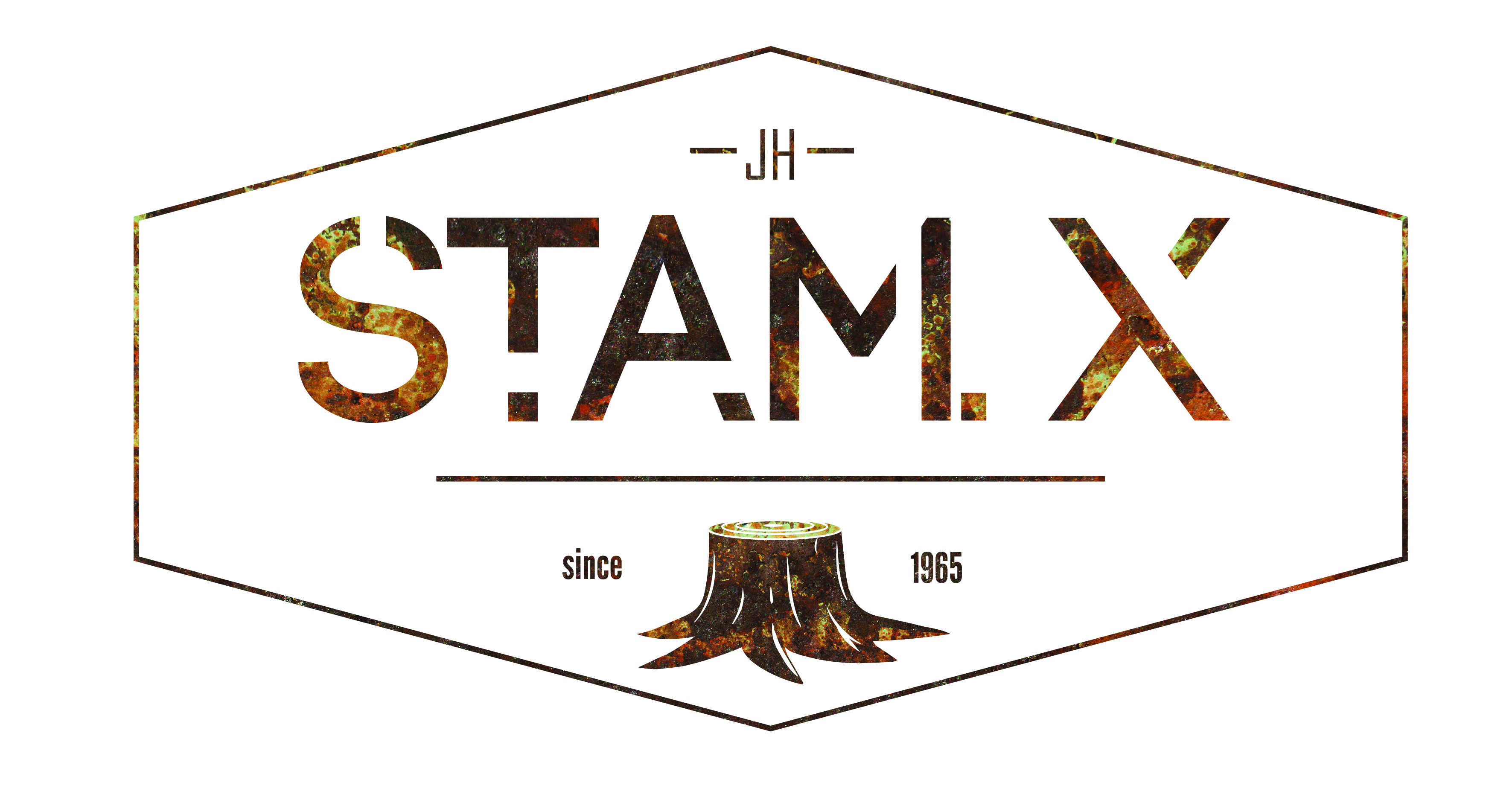 Logo Stam X
