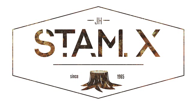 Logo Stam X