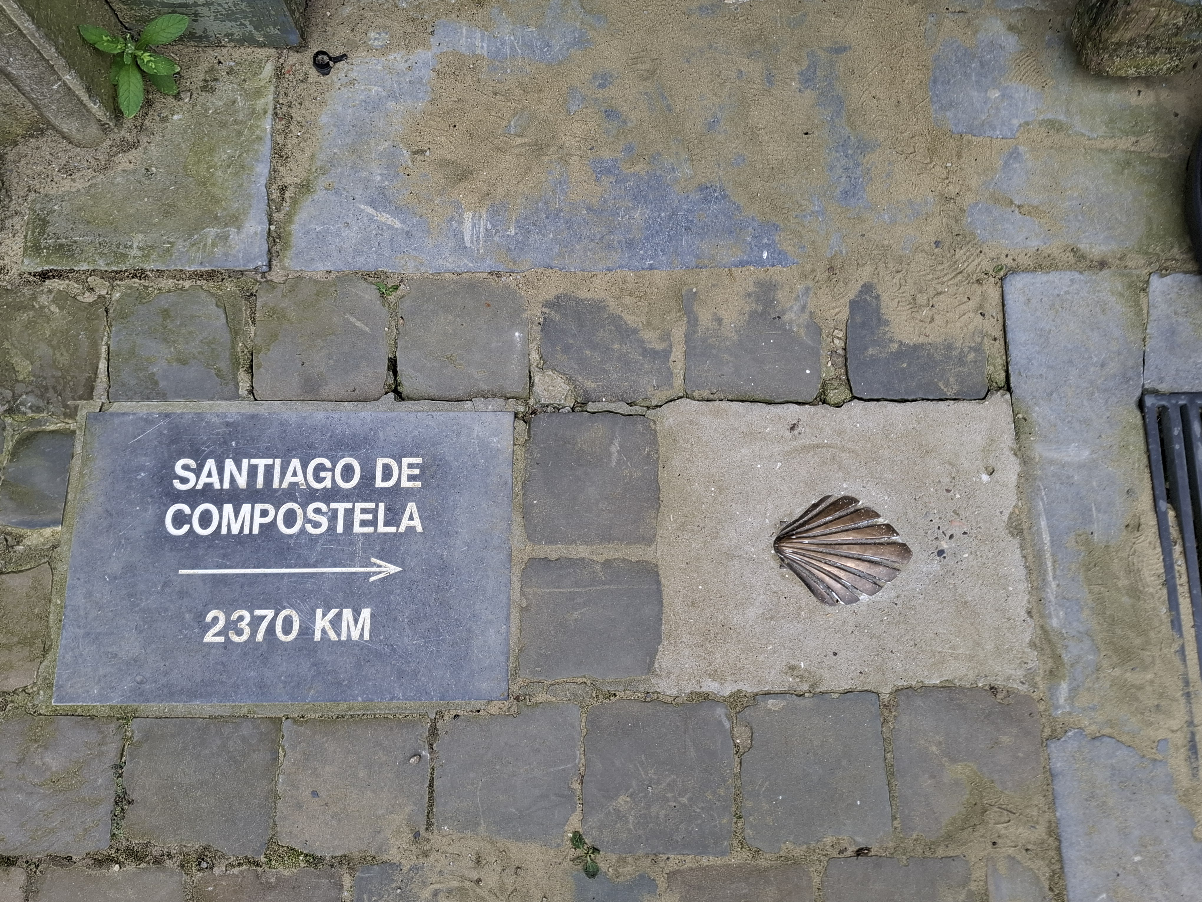 jakobsschelp aan de Sint-Jakobskerk in Leuven