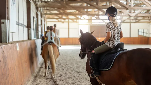 Afbeelding voor activiteit Paardrijkampen - alle niveaus