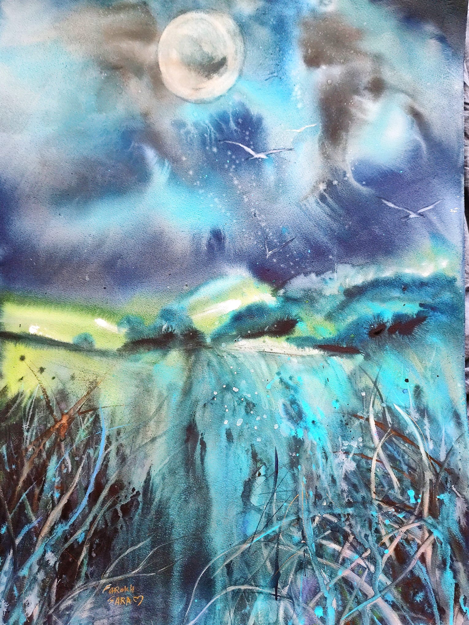 sara farokhi en mary made