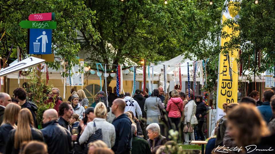 Mensen op een foodtruckfestival