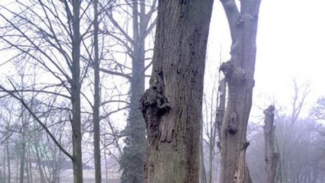 Kabouterhuisje in Pietersheim