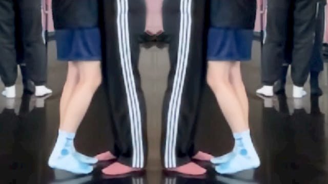 COM foto AGAIN FOREVER LISA VEREERTBRUGGHEN - CAMPO dans web