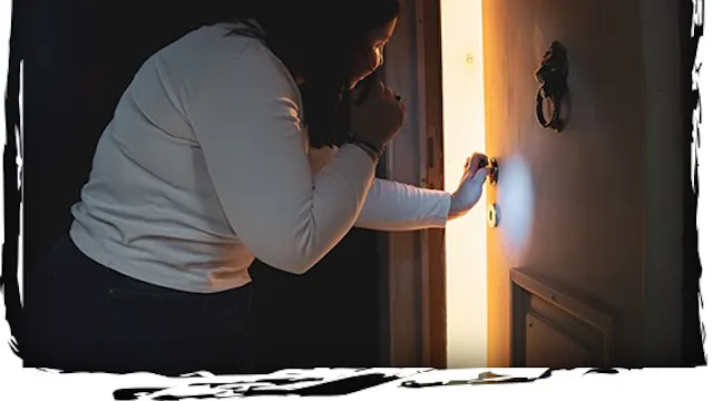 De meesterdief van Mechelen