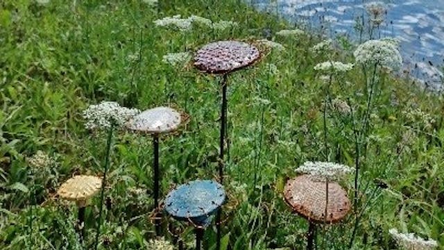 Keramiek voor beginners