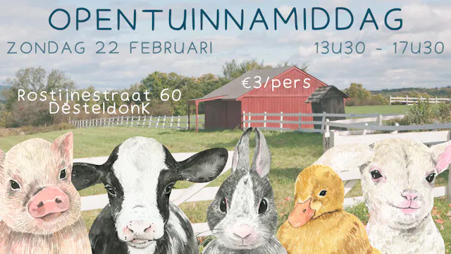 Kom je ravotten in onze tuin en onze diertjes aaien? Voor €3/pers geniet je van een hele namiddag plezier! Reserveren is niet nodig!