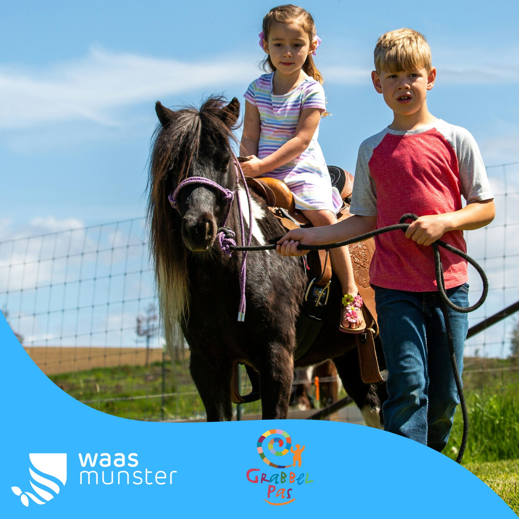 Grabbelpas: Hippofarm 