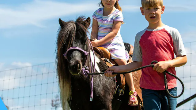 Grabbelpas: Hippofarm