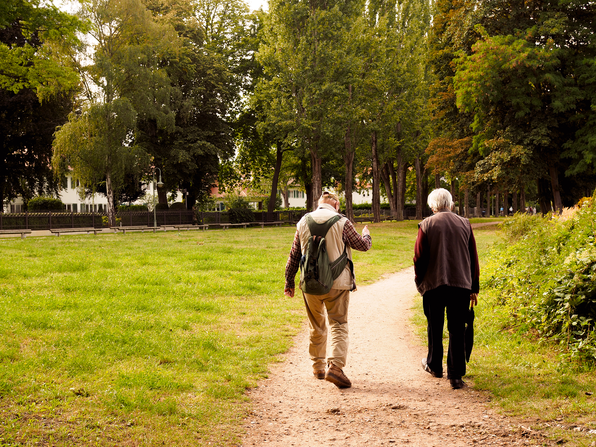 Wandelende senioren in een park