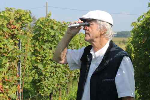 wijnbouw-hendrik-coysmans