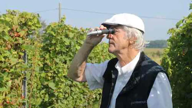 wijnbouw-hendrik-coysmans