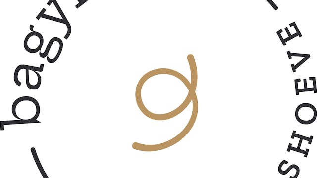 Logo Bagynhof