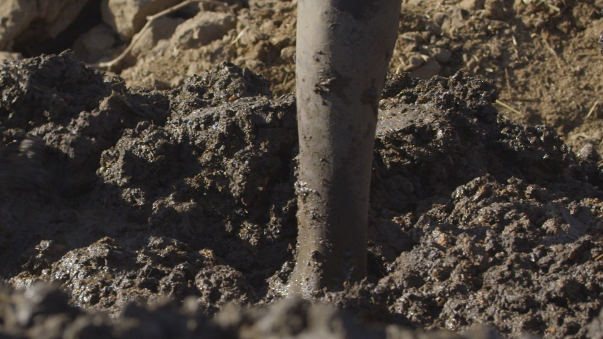 Men and Gods and Mud