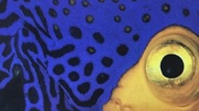 Workshop koralen schilderen