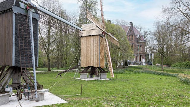 Buitenschaalmodellen Mola