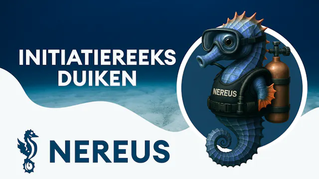 Initiatiereeks Duiken NEREUS