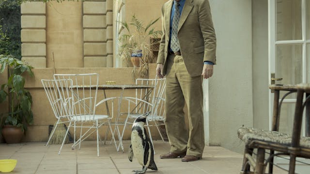 The Penguin Lessons - Peter Cattaneo