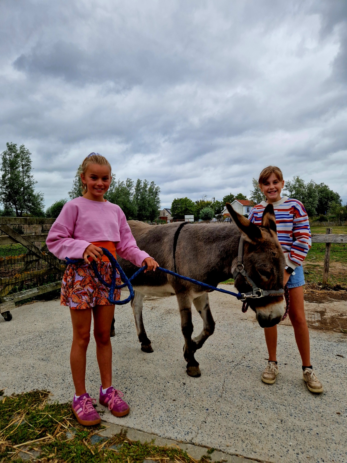 kinderen op boerderijkamp