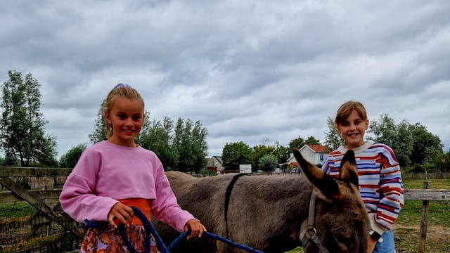 kinderen op boerderijkamp