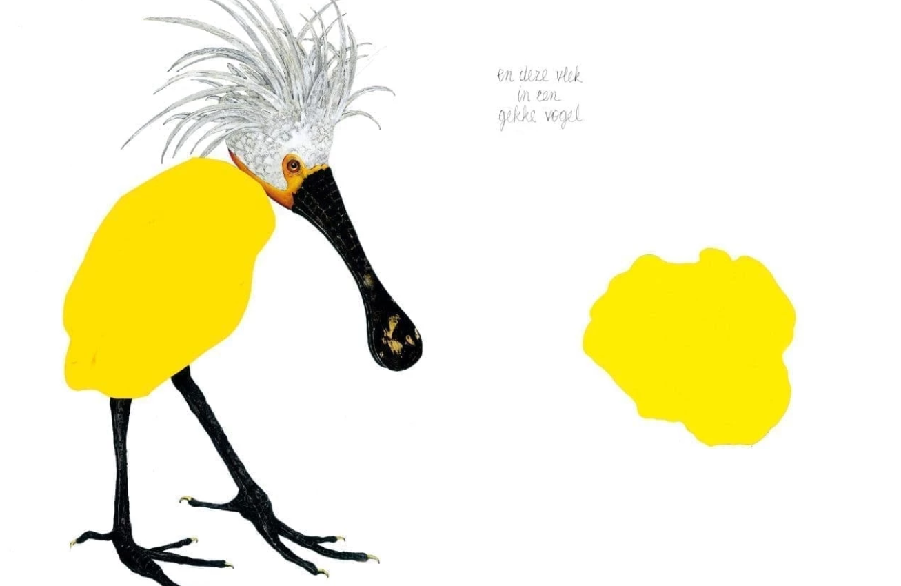 illustratie van Carll Cneut