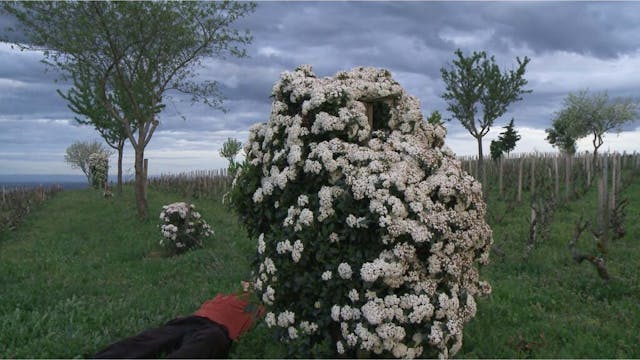 © Terroir (Stijn Verschelden, 2025)