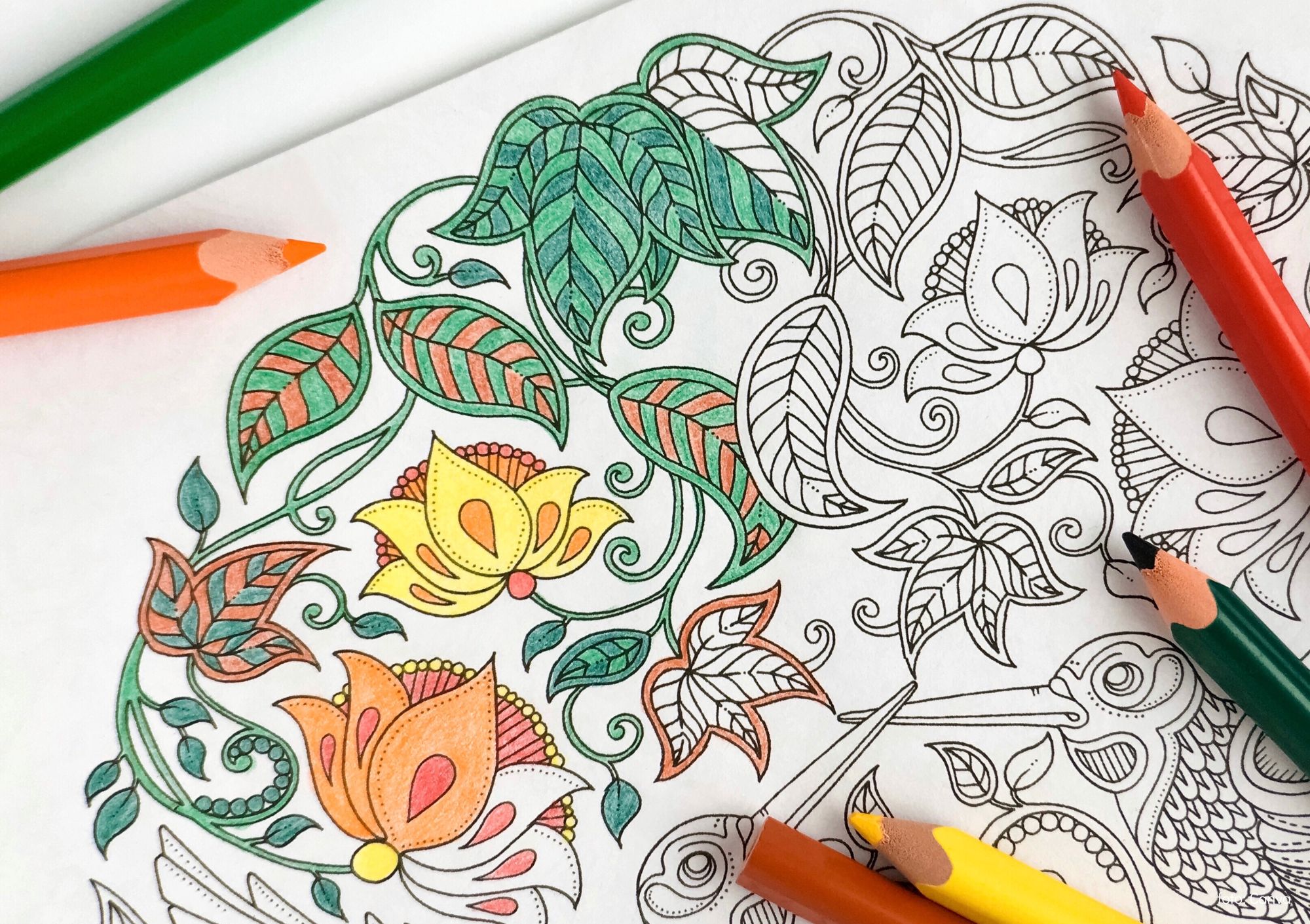 kleuren  voor volwassenen