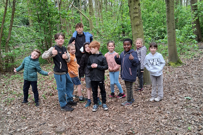 Image for gzbd activity