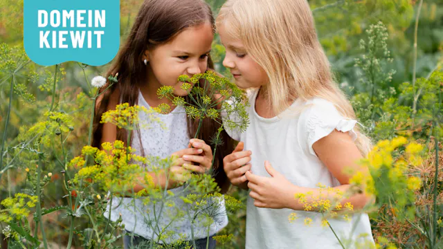 Kinderen ruiken aan bloem