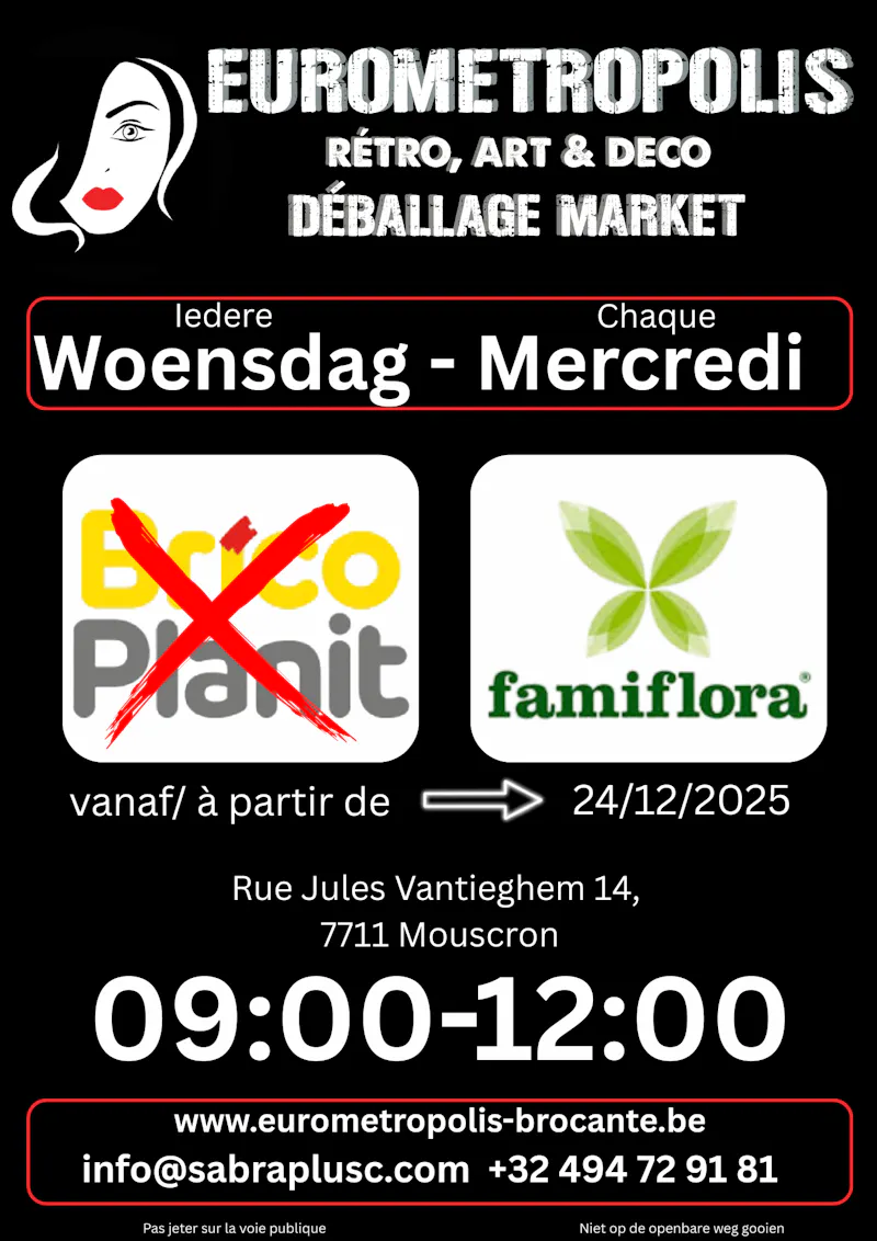 Eurometropolis Brocante Déballage in Pottelberg