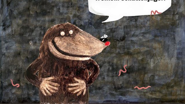 Schatten van Vlieg in het MOT