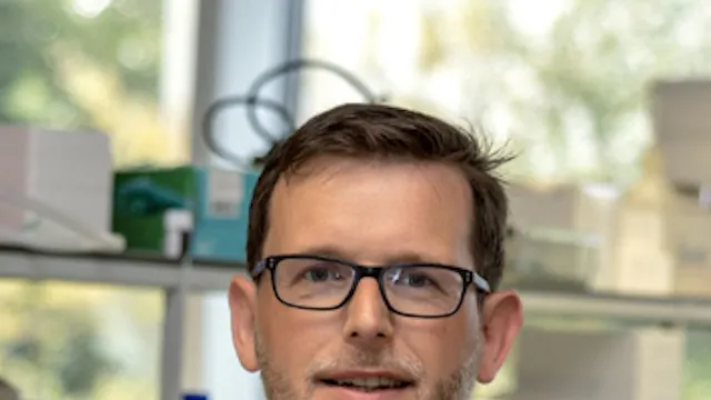 Image for gzbd activity