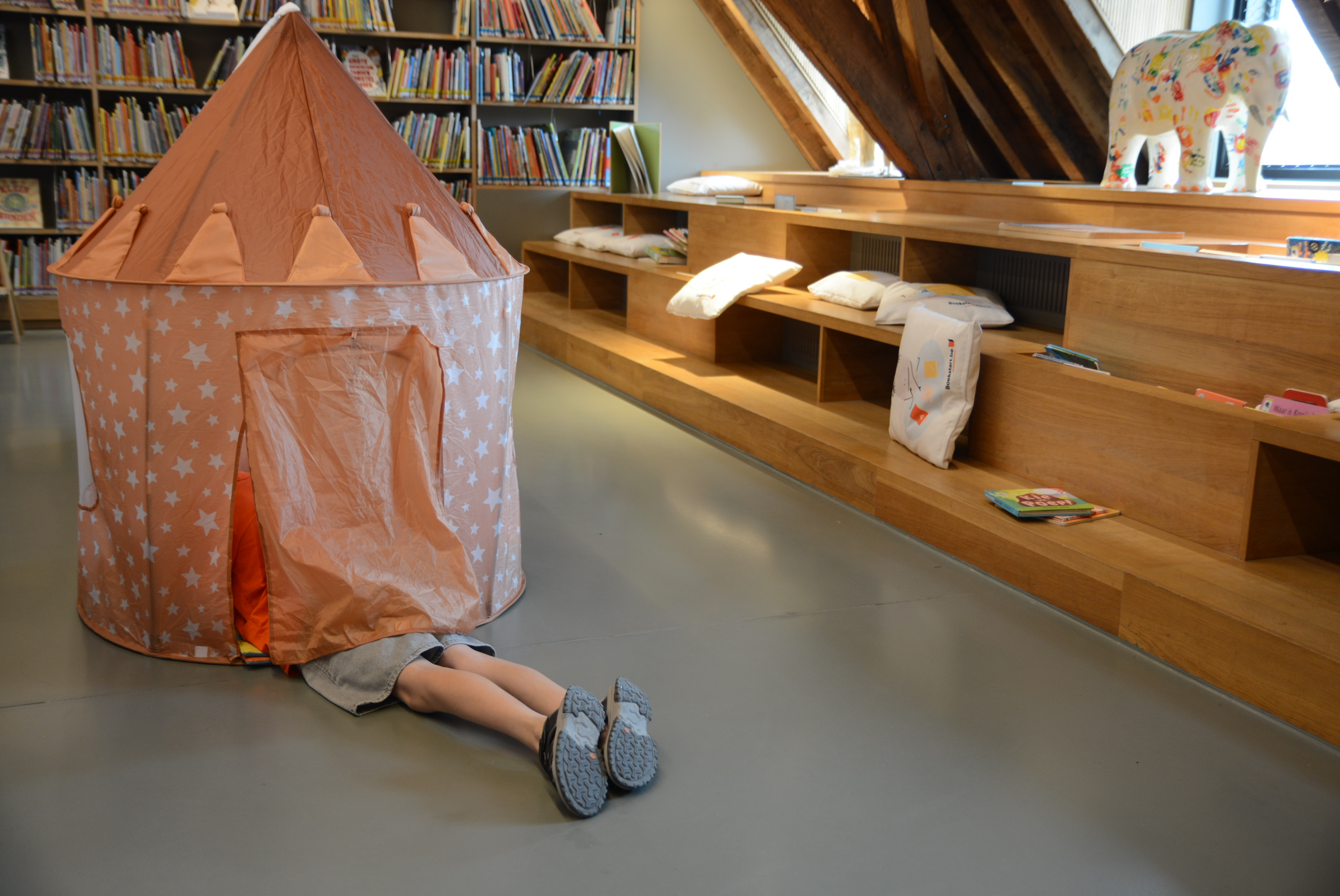 Boekenproevers 8-10j