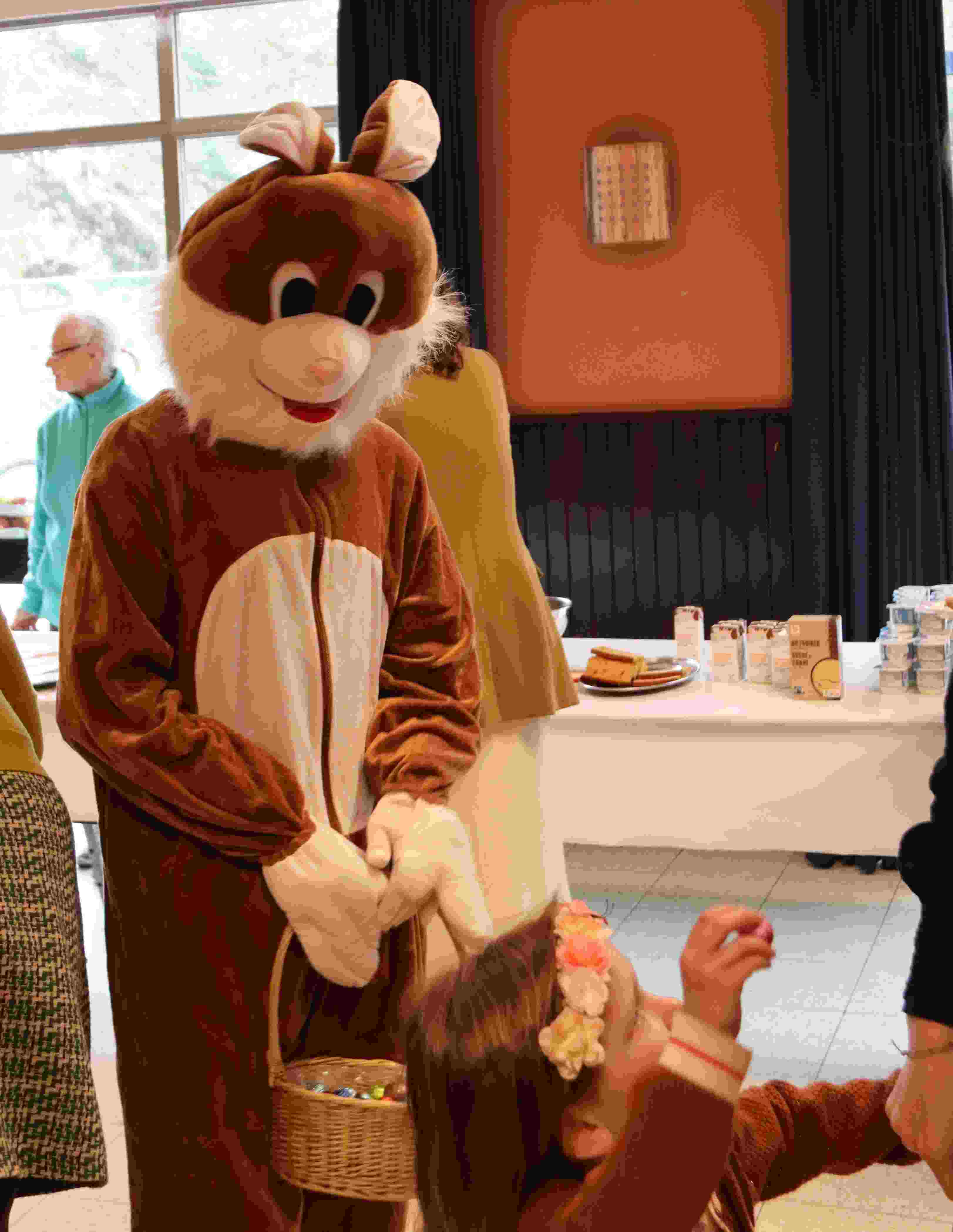 Image for gzbd activity