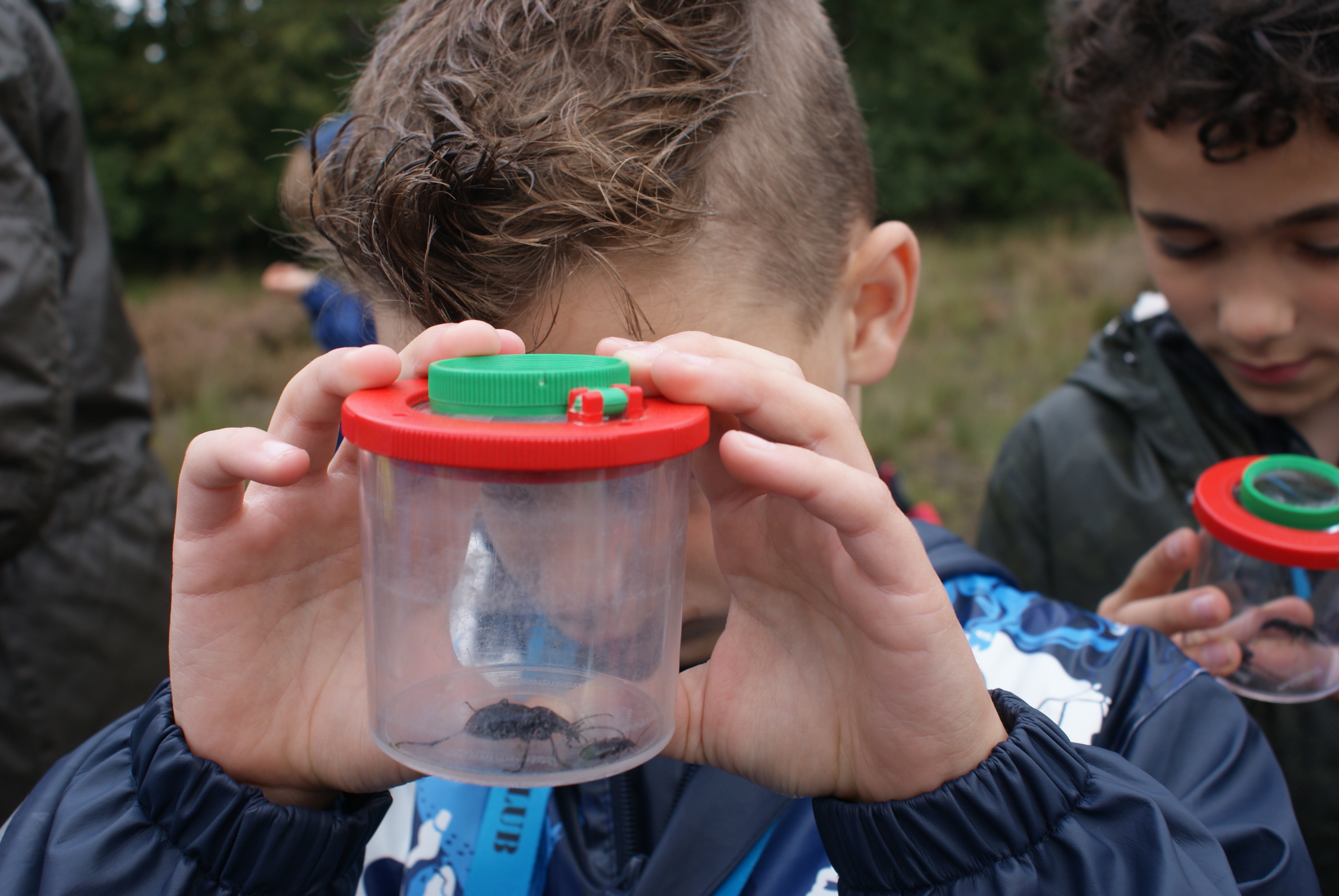 In een loeppotje... Wow!