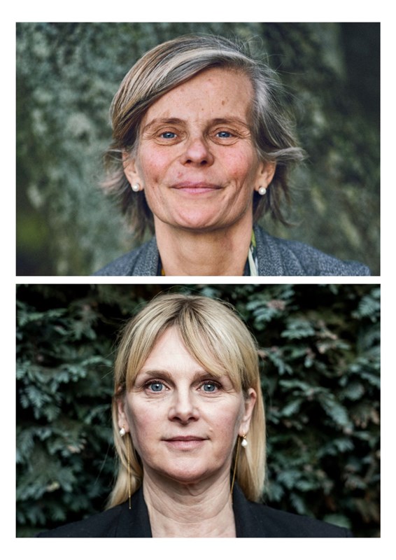 An Miller, Dimitri Leue, Koen Vanmechelen | Ode aan de verwondering van Caroline Pauwels