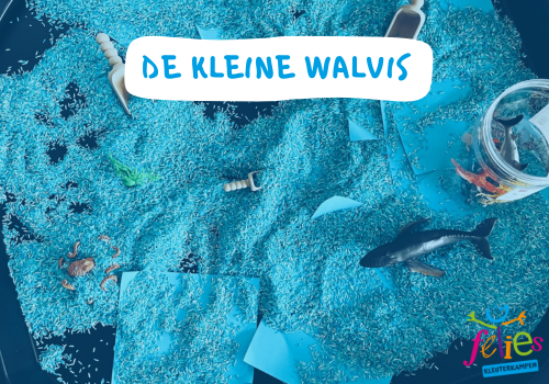 De kleine walvis 🐳
