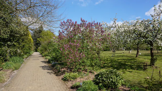 Visite guidée: Découverte des collections botaniques - Jardin Jean Massart