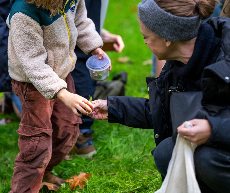 Forest School: Wildplukken en vuurkoken - Buitenmaatjes